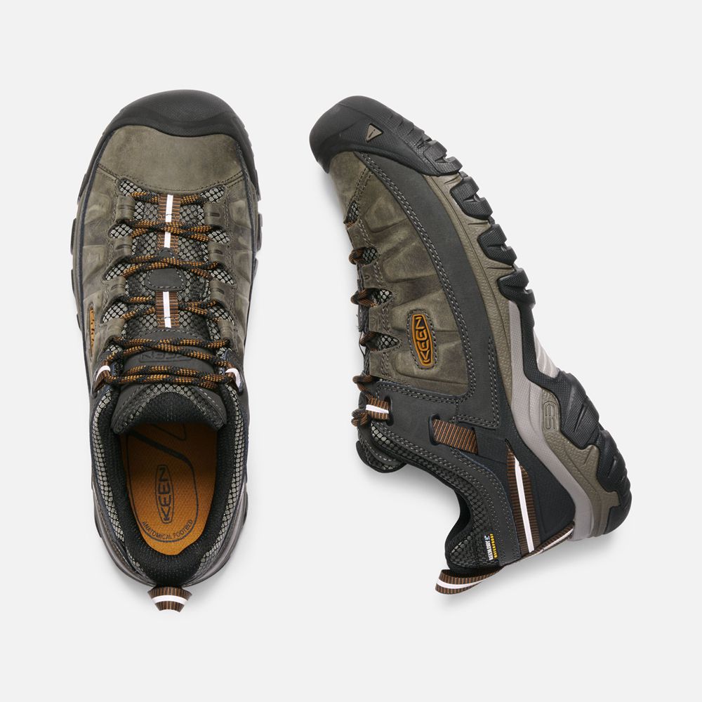 Keen Wandelschoenen Heren Olijfgroen/Zwart - Targhee Iii Waterproof - 25904-HGXR